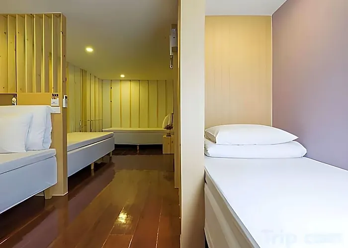 Albergue Check-in My *