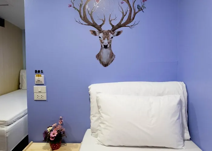 Albergue Check-in My Banguecoque